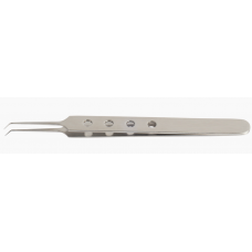 Model Transplant Forceps With Hole